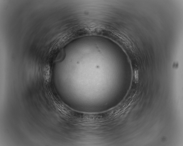 X0000101210963200806271411