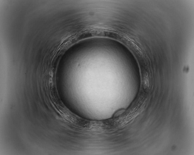 X0000101210964200806271411