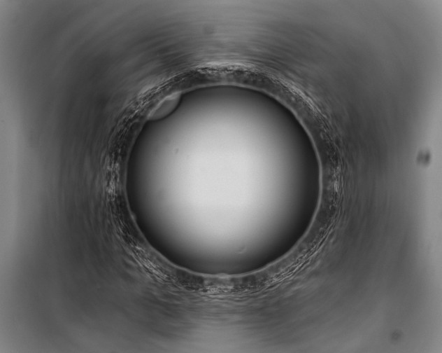 X0000101210965200806271411