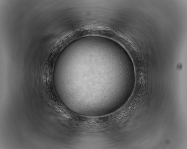 X0000101210966200806271411