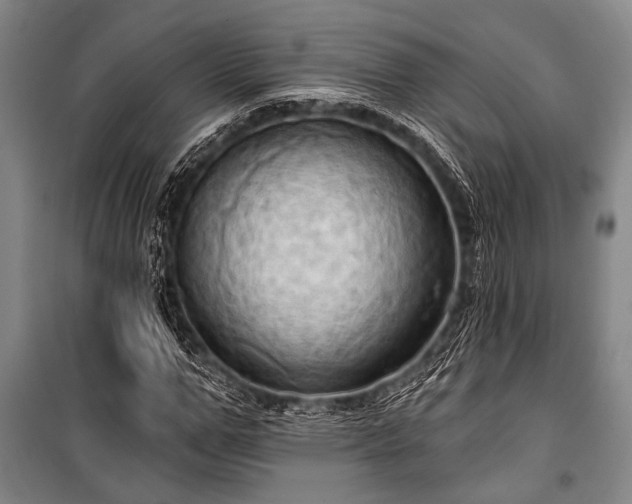 X0000101210967200806271411