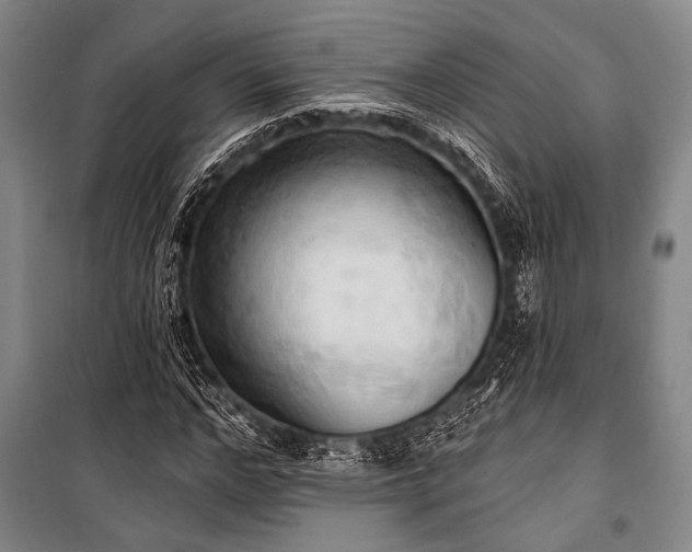 X0000101210968200806271411