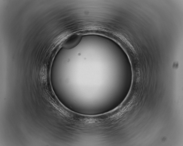 X0000101210969200806271411