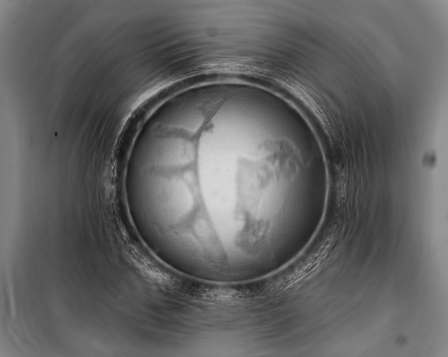 X0000101210971200806271411