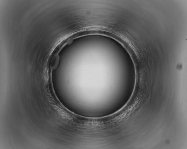 X0000101210973200806271411
