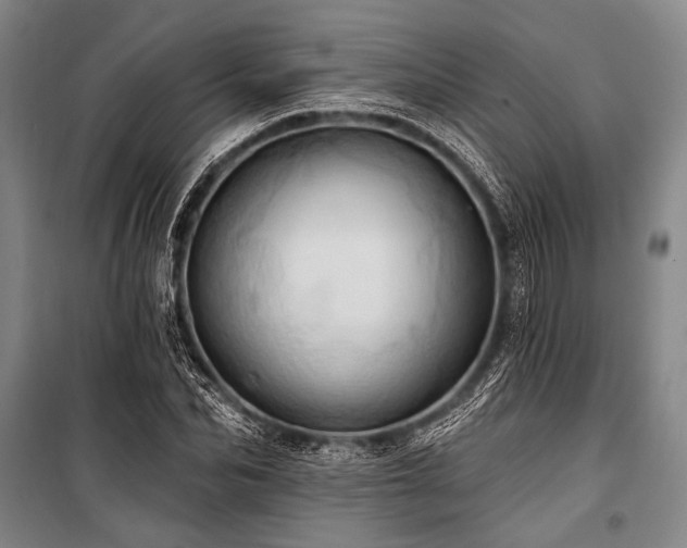 X0000101210974200806271411