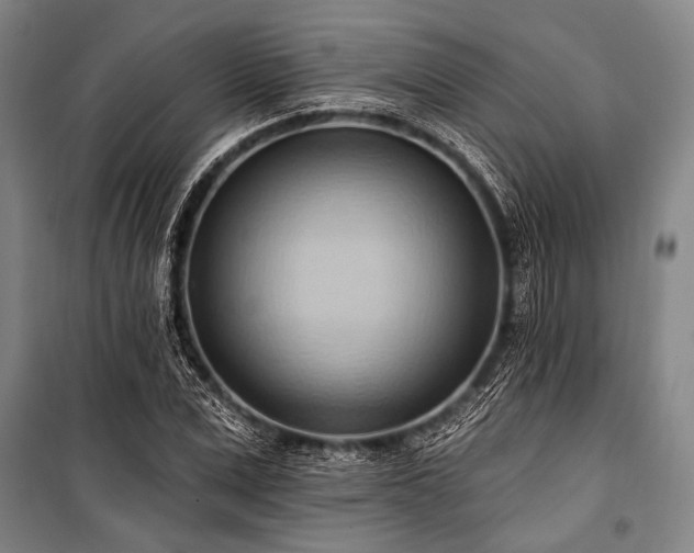 X0000101210975200806271411