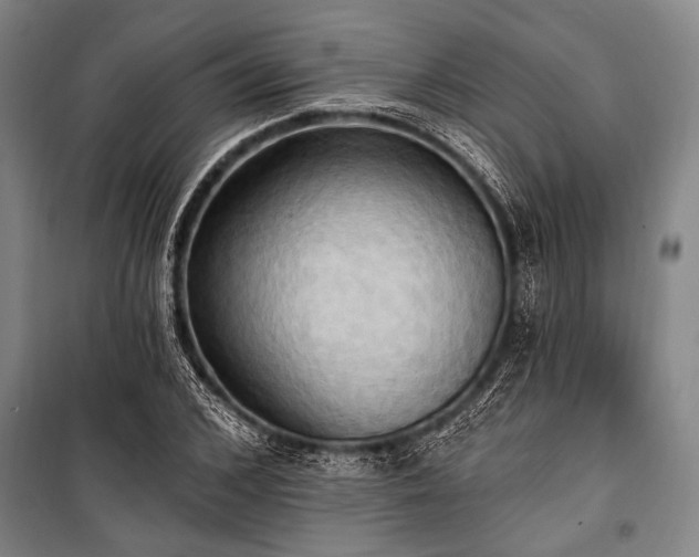 X0000101210976200806271411