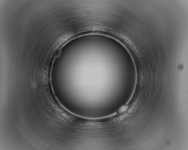 X0000101210977200806271411