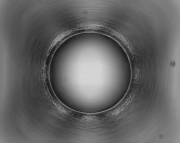 X0000101210978200806271411