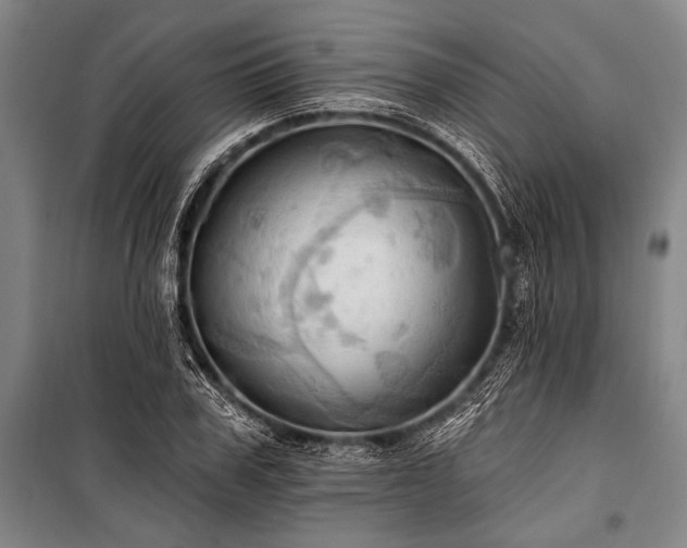 X0000101210979200806271411