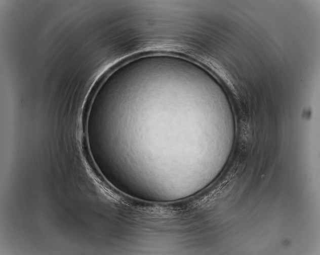 X0000101210980200806271411
