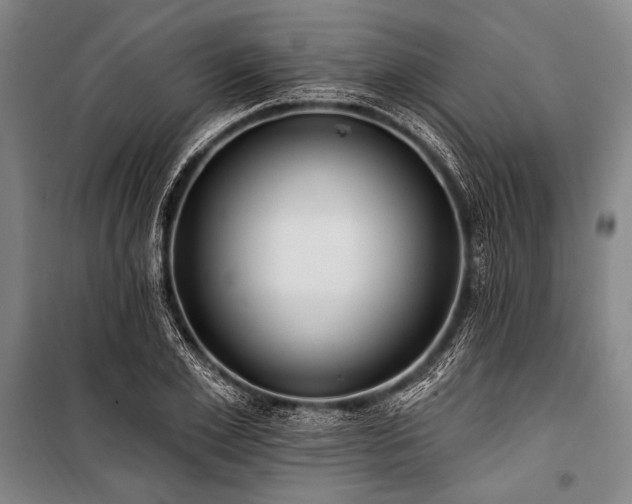 X0000101210981200806271411