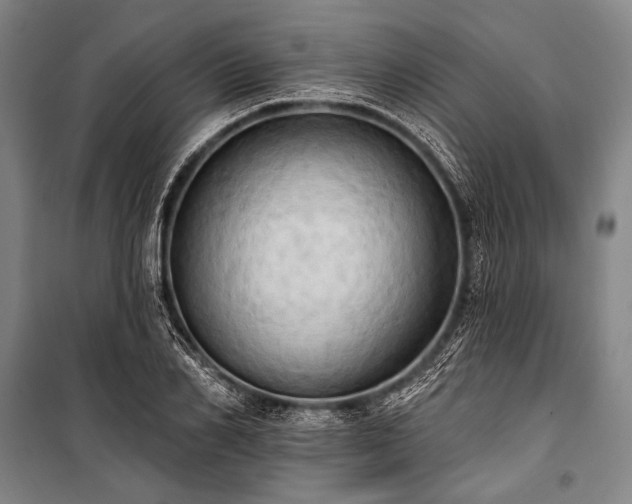 X0000101210982200806271411