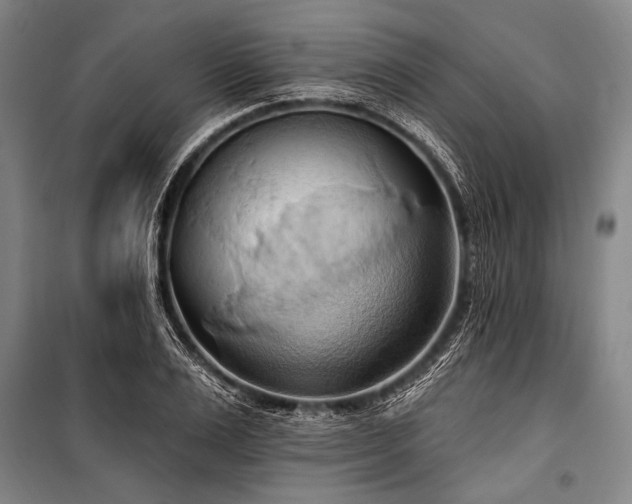 X0000101210983200806271411