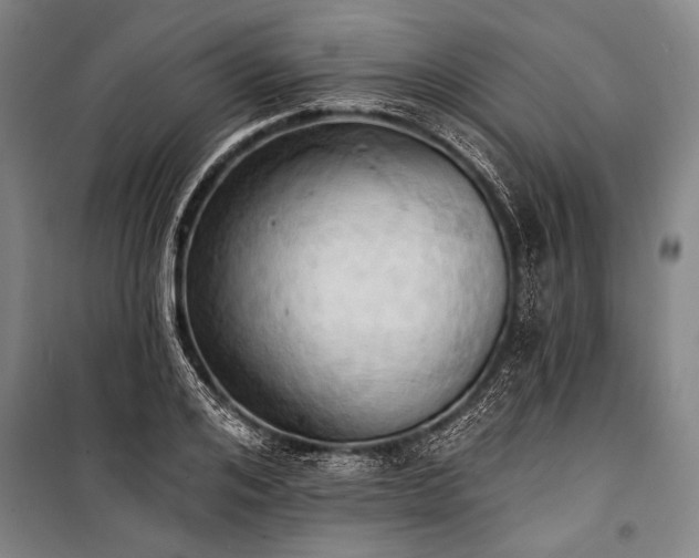 X0000101210984200806271410