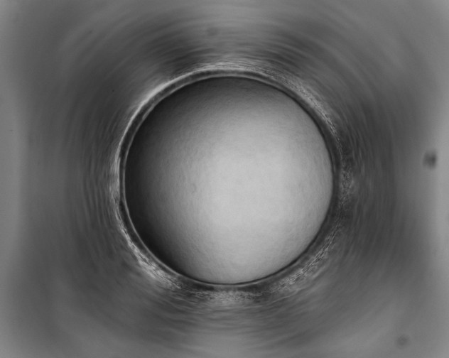X0000101210988200806271410
