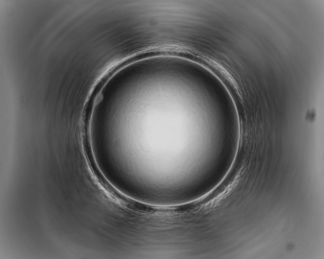 X0000101210989200806271410