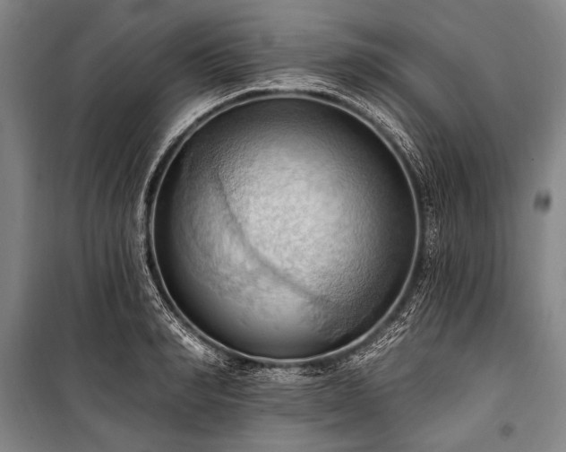 X0000101210990200806271410
