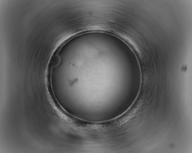 X0000101210991200806271410