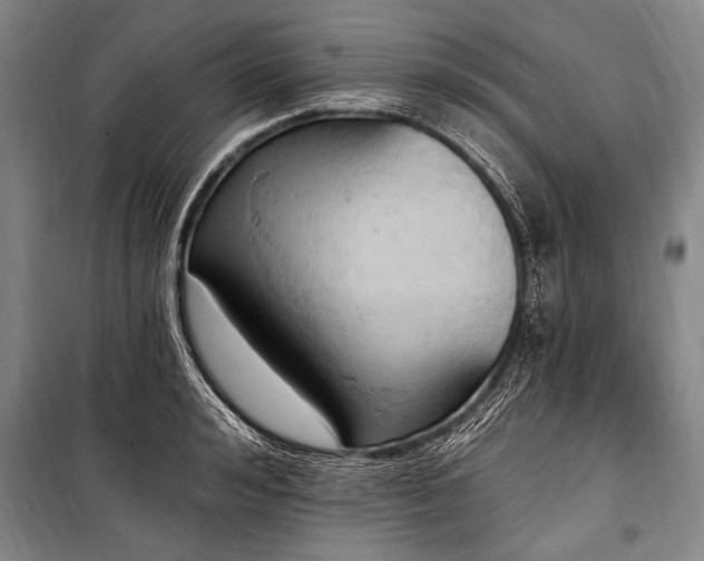 X0000101210992200806271410