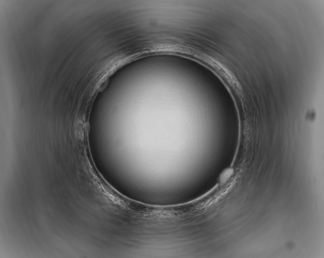 X0000101210993200806271410