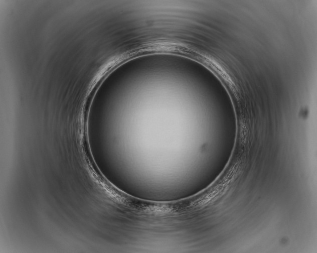 X0000101210994200806271410