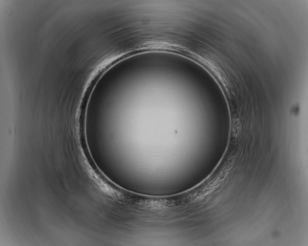 X0000101210995200806271410