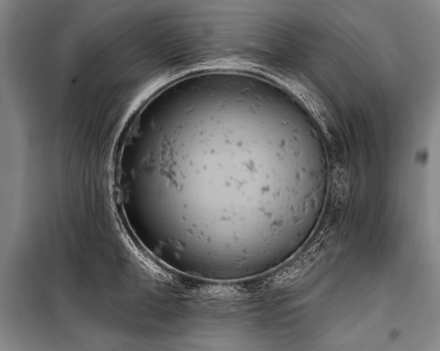 X0000101210998200806271410