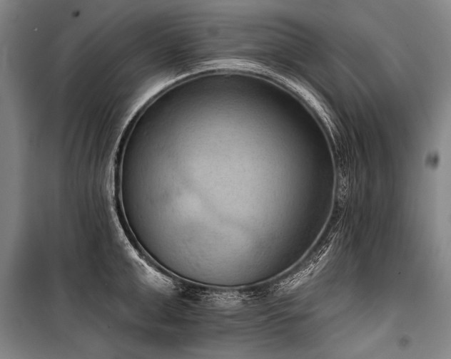 X0000101210999200806271410