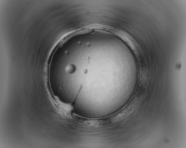 X0000101211000200806271410