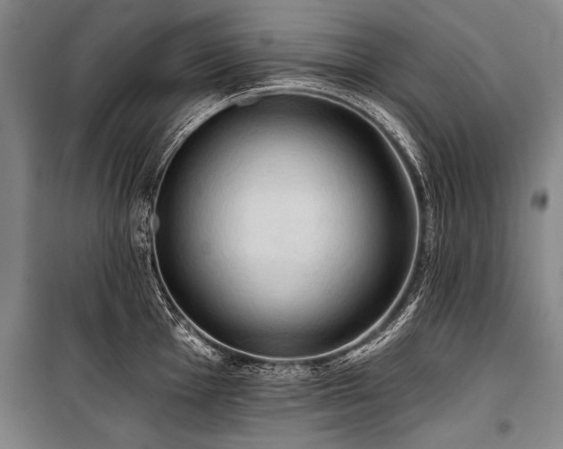 X0000101211001200806271410