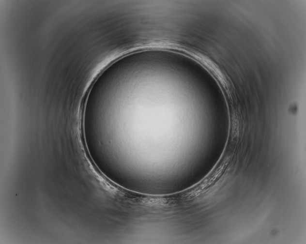X0000101211006200806271410
