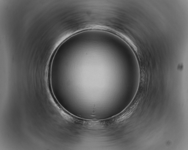 X0000101211007200806271410