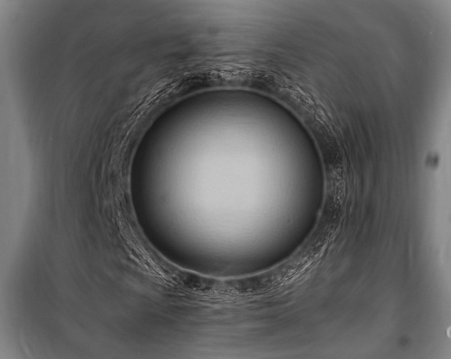X0000101211009200806271409