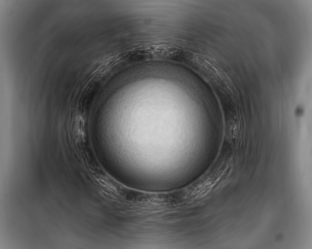 X0000101211010200806271409