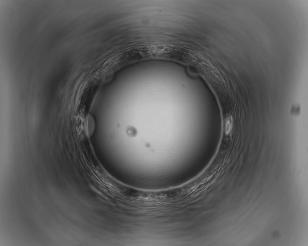 X0000101211011200806271409