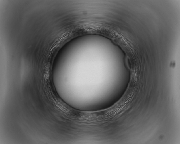 X0000101211012200806271409