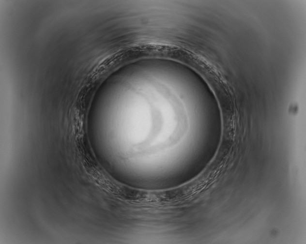 X0000101211013200806271409