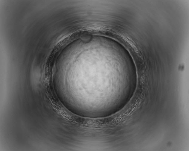 X0000101211015200806271410