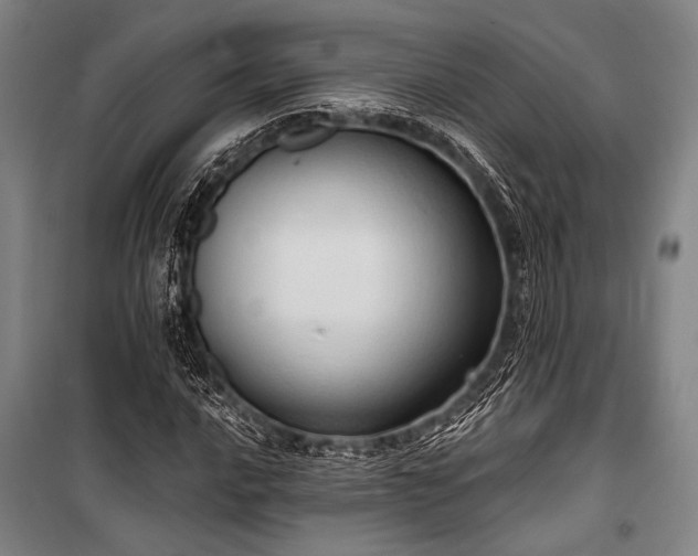 X0000101211016200806271410