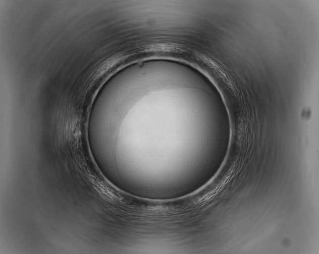 X0000101211017200806271410