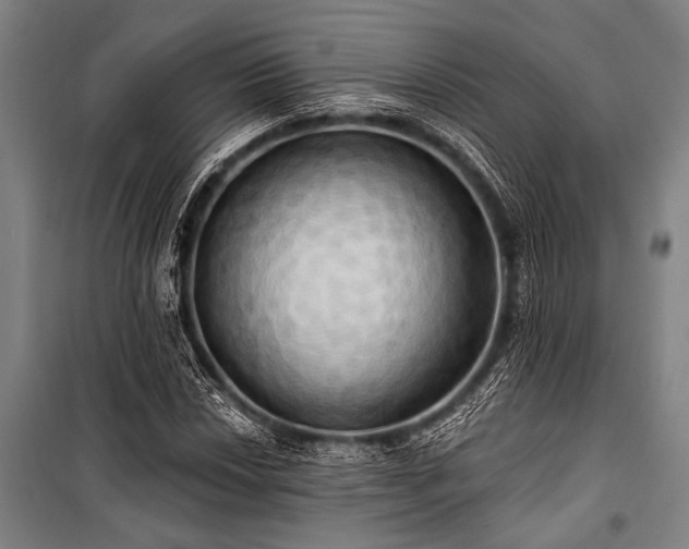 X0000101211018200806271410