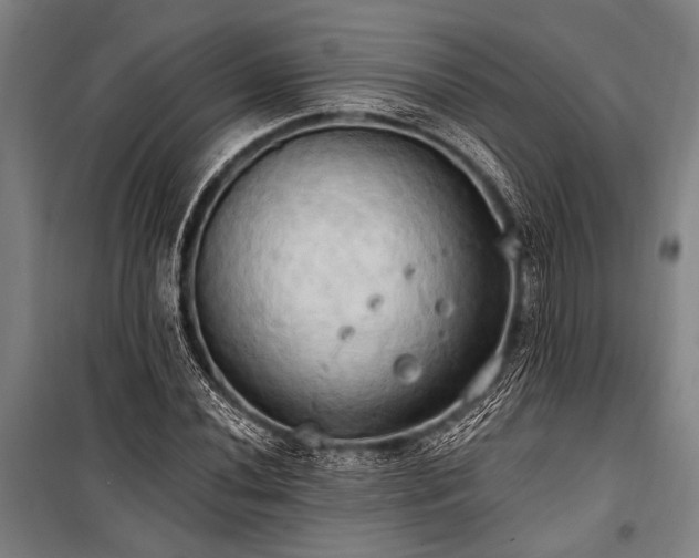 X0000101211020200806271410