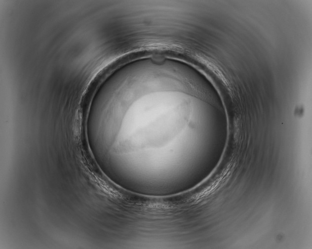 X0000101211021200806271410