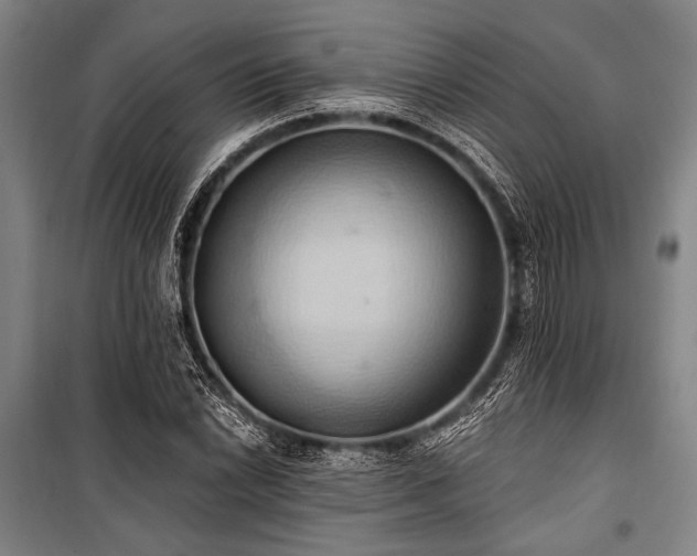 X0000101211022200806271410