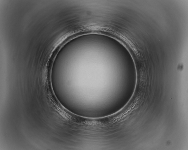 X0000101211023200806271410