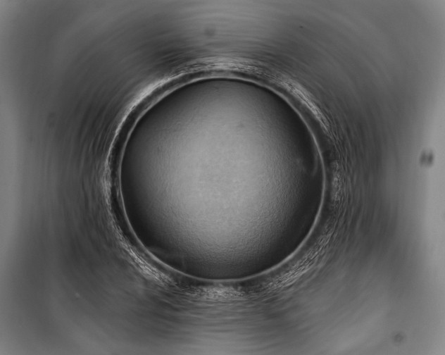 X0000101211024200806271410