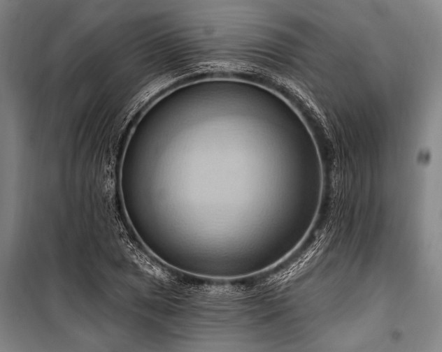 X0000101211025200806271410