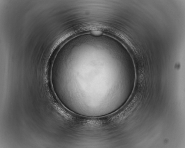 X0000101211026200806271410